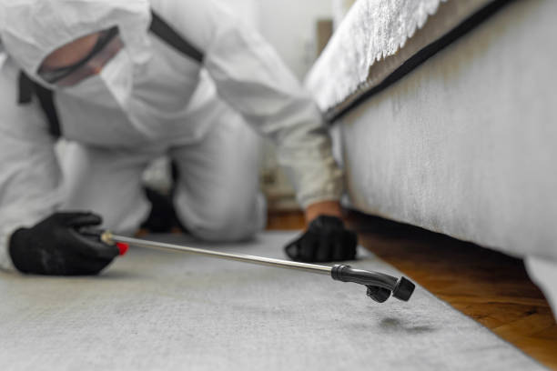 Professional Bed Bug Control technician working in San Carlos, AZ